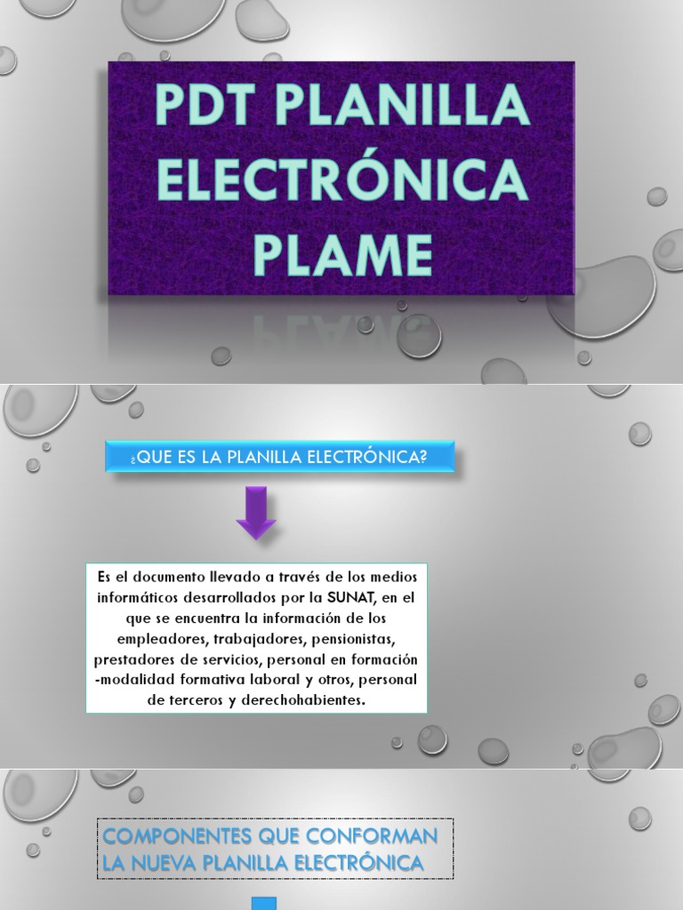Qué es el PDT PLAME y su uso | PDF | Apoyo | Contraseña