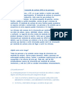 Efectos Del Monoxido de Carbono (CO) en Las Personas