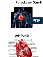 Alat-Alat Peredaran Darah