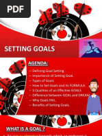 Goal Setting Report