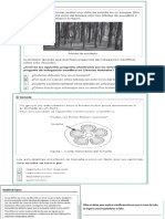 Examen Ese