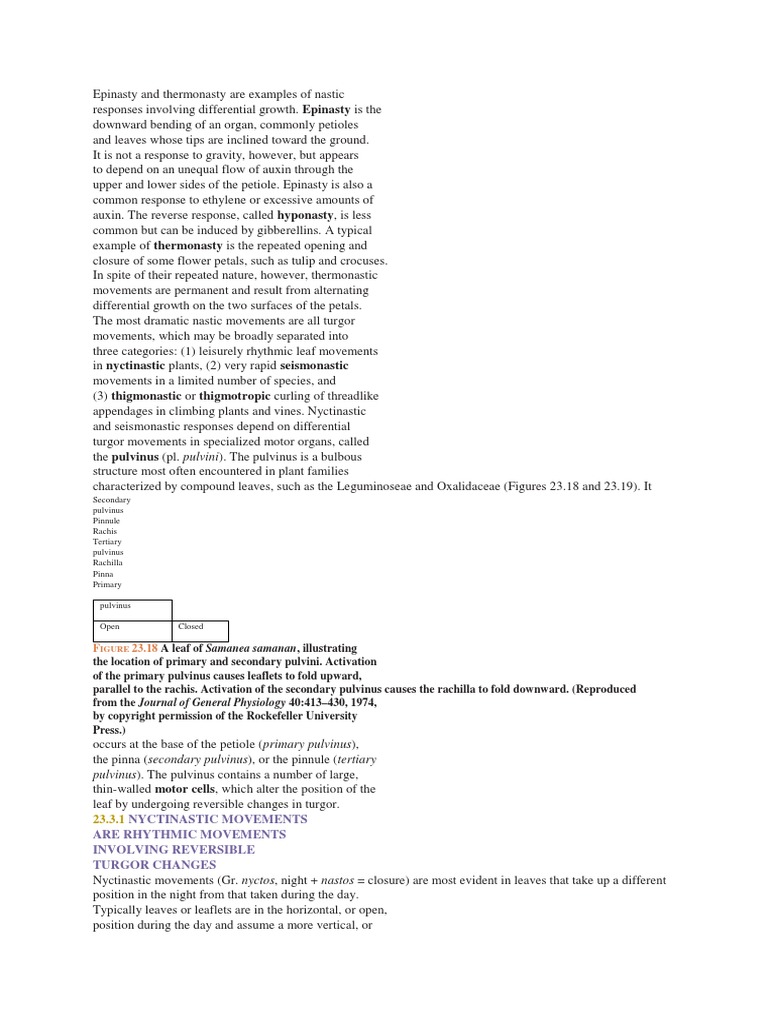 Epinasty and Thermonasty Are Examples of Nastic | PDF | Leaf | Tissue ...