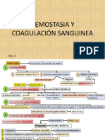 Capitulo. 37 Hemostasia y Coagulación Sanguinea