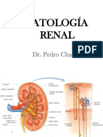 06 Patologia Renal