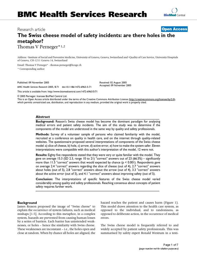 Swiss Cheese Model of Risk Holes in The Metaphor PDF Patient