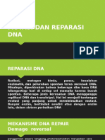 Mutasi Dan Reparasi Dna Shofi Herman Sevy