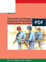 Prev. de Riesgos en Empresa Dimensionadora y Distribuidora de Fierros PDF