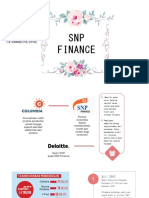 SNP Finance