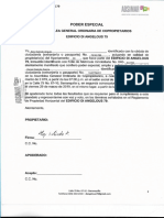 PODER ASAMBLEA-signed - Di - Angelous - 3D PDF