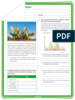 Relaciones y Problemática Ambiental