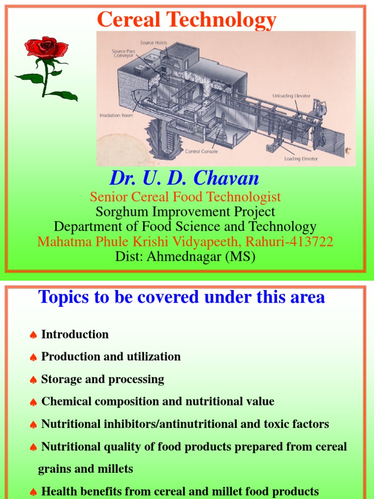 Cereal and Millet Processing Overview | PDF | Cereals | Flour