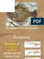 Evidence of Evolution