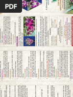 Orchid Cultivation PDF