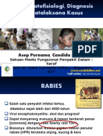 Rabies Pontianak Asep 2015