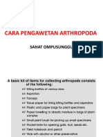 Cara Pengawetan Arthropoda