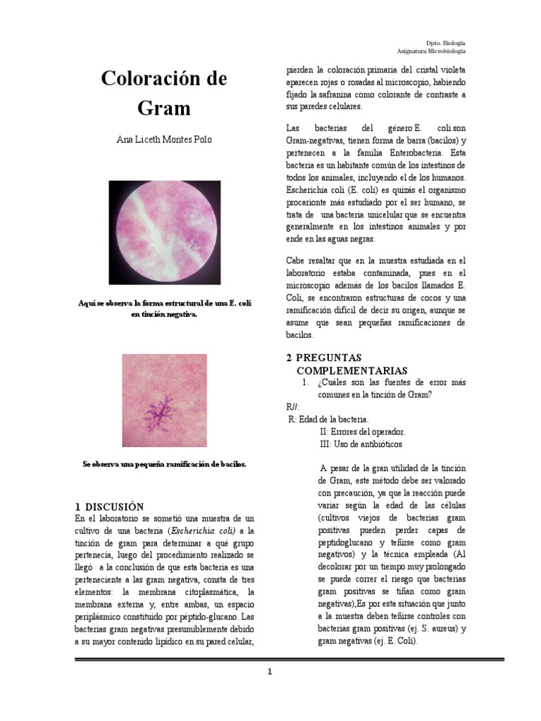 Coloración de Gram | PDF | Tinción | Bacterias Gram Positivas