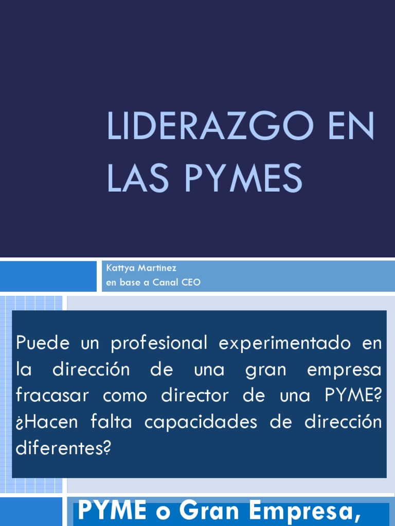 Liderazgo en Las Pymes | PDF | Pequeñas y medianas empresas | Liderazgo