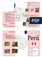 Diptico Perú