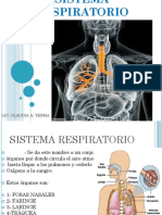 9 Sistema Respiratorio