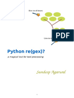 py_regex.pdf