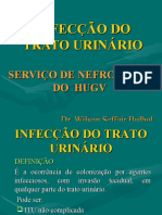 Infecção Do Trato Urinário