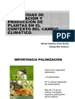 Polinización y Medio Ambiente