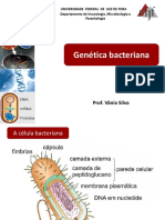 Genética Bacteriana