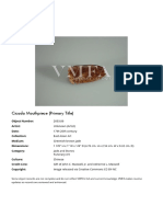 Cicada Mouthpiece (Primary Title) &#8211 (2003.86)