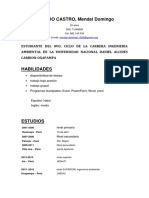 CV modelo