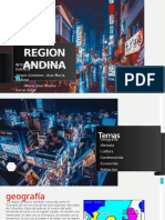 REGION ANDINA TRABAJO 9°2