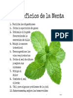 Menta Cris