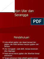 Gigitan Ular Dan Serangga