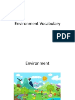 Environment Vocabulary