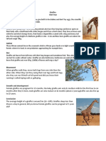 VT Giraffe Report
