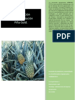 Plan inversion  piña.pdf
