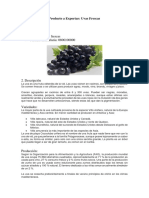 Uvas Frescas