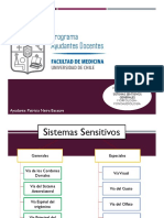 ayudantia presencial sistemas sensitivos generales.pptx