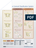 Clasificacion Ao-Cervical PDF