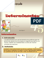Determinantesppt.pdf