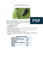 Mosca Soldado: Cualidades Nutricionales y Metodología de Cultivo