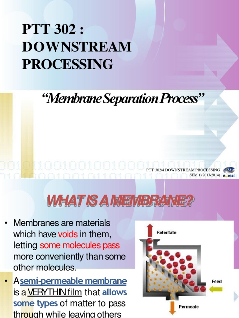 Membrane Separation Processes Overview | PDF | Membrane | Materials