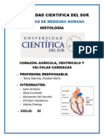 Informe 1 - Histologia 3