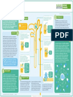 Adtkd: Mechanisms Epidemiology