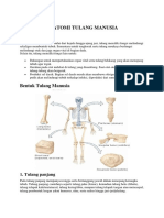 Anatomi Tulang Manusia