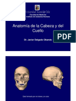 Anatomía de La Cabeza y Del Cuello: Dr. Javier Delgado Obando