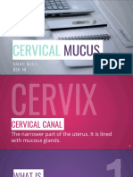 Cervical Mucus (XU)