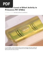 What is a Level of Effort Activity in Primavera P6