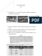 1º Mini Teste de Ciências Naturais - 8º