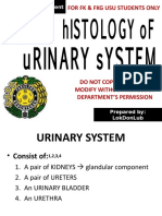 Urinary histologi 