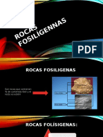 Rocas Fosilígennas